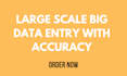 manage large scale, bulky and big data entry for you