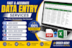 do excel, word, data entry and typing work