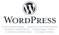build your wordpress website aiming for lead generation