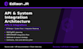 api and system integration development