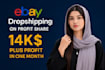 do ebay dropshipping on profit share