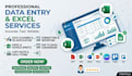 do expert excel data organization, clean up data, and format word documents