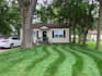 help transform your lawn