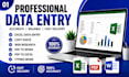 do professional data entry