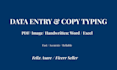 do fast and accurate data entry and copy typing