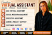 personal executive gohighlevel virtual assistant social media manager admin ghl