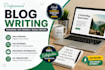 provide professional blog writing post