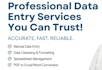 do fast data entry, english and tamil typing, copy paste work