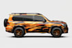 design professional vehicle wrap, car wrap, van wrap