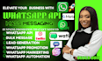 setup whatsapp API chatbot automation meta  bulk messaging