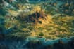 do fantasy map design