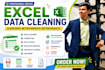 do cleaning, formatting, PDF to excel, duplicate removal