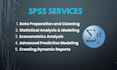 do any project in spss