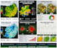 do google earth engine analysis, ndvi and remote sensing