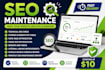provide monthly website SEO care and optimization