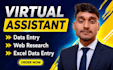 do accurate data entry, web research, copy paste and excel
