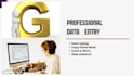 do proffessional excel data entry and web research
