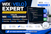 develop custom wix velo code, api integrations and databases