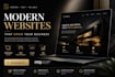 build a professional responsive website for your business