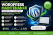 do wordpress maintenance service, security, monthly care