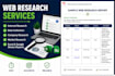 do web research, internet research, and data collection