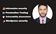 perform professional penetration testing and security audit