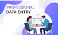 professional data entry expert