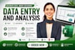 provide professional excel services