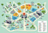 draw a vector maps, festival maps in illustrator
