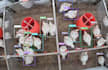 a custom yolov8 object detection model with your images