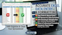 do accurate excel data entry, data cleaning, and formating