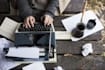 write urgent essays and creative content for you