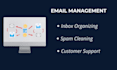 do professional email management and inbox cleanup as virtual assistant