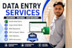 provide fast and reliable data entry services