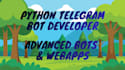 build an advanced python telegram bot with webapp dashboard