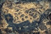 unique vector map, realistic or fantasy