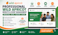 build and develop professional wild apricot website and event management website