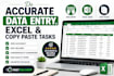 do accurate data entry, excel and copy paste tasks
