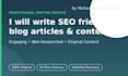 write SEO friendly blog articles and website content