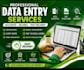 do accurate data entry, copy paste, web research, and excel