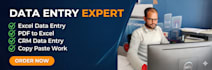 do data entry, excel typing, PDF to excel and CRM data entry