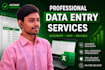 provide accurate and fast data entry services