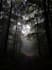 create stunning dark aesthetic ai wallpapers and digital art