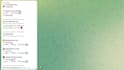develop a custom PHP telegram bot or API integration