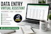 do fast and accurate data entry, excel work and typing