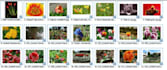 do data entry, copy paste, download bulk photos, e invitation