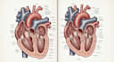 draw a scientific illustration