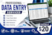 accurate data entry, excel data cleaning and web research