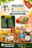 design professional business posters and flyers