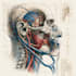 create scientific illustrations and medical figures